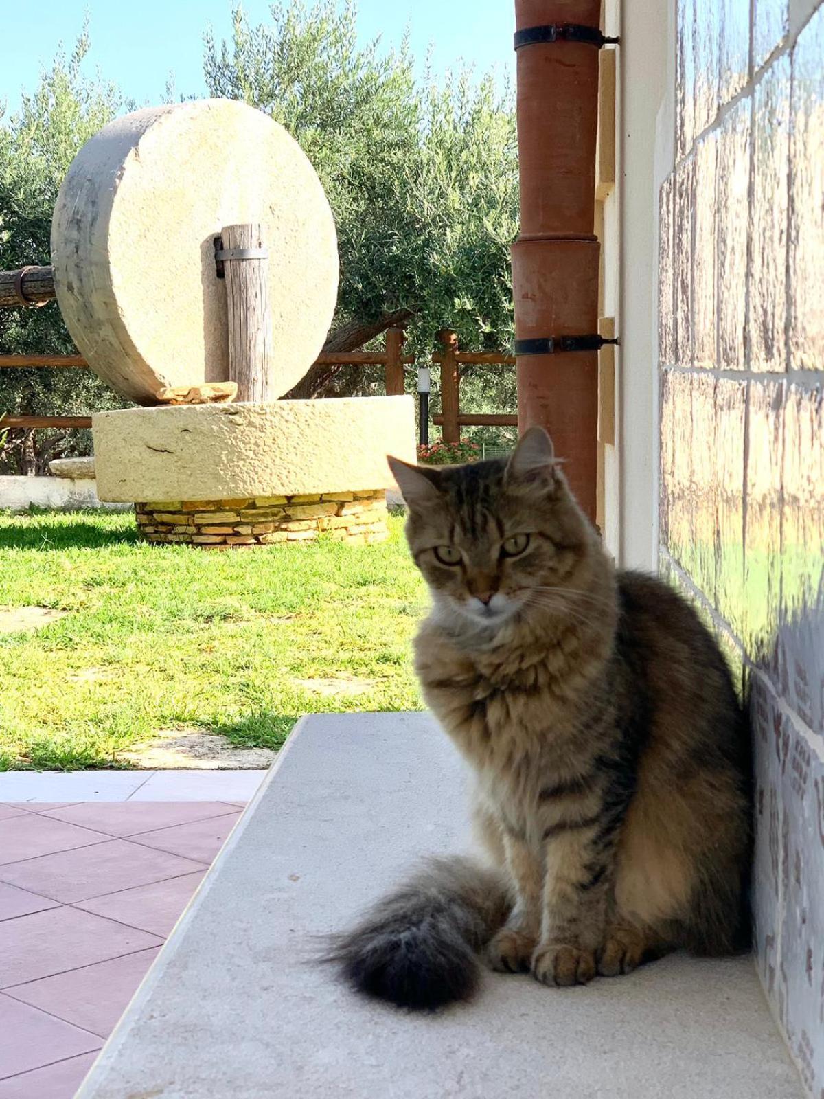 Casale La Macina - Hotel, 3*
