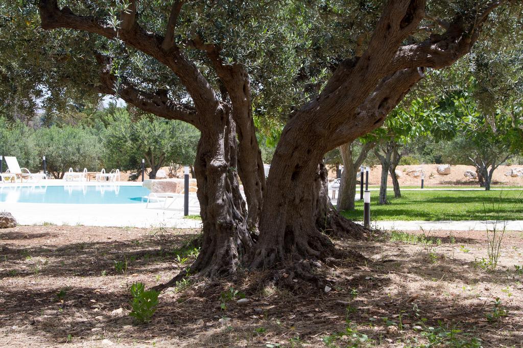 Hotel Casale La Macina - Hotel, 3*