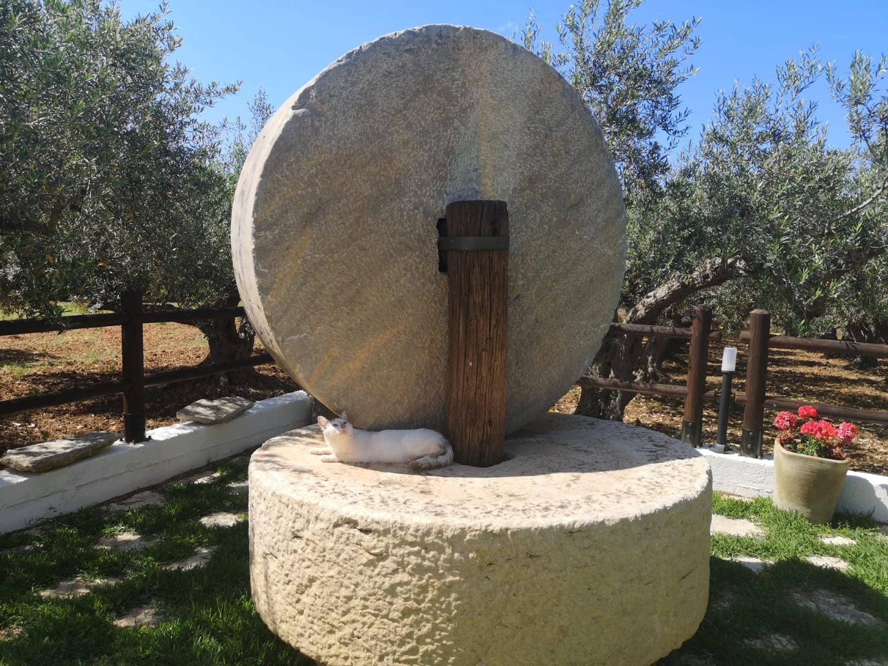 Casale La Macina - Hotel,